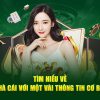 đánh bài catte online